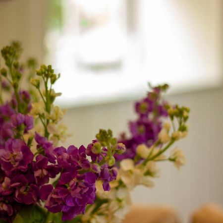 The Potting Shed, 5* Luxury Escape Cirencester Exterior photo